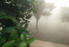 温室打药加湿系统