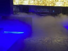 <b>雾森的作用</b>